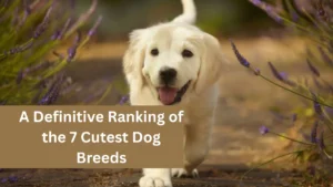 A Definitive Ranking of the 7 Cutest Dog Breeds