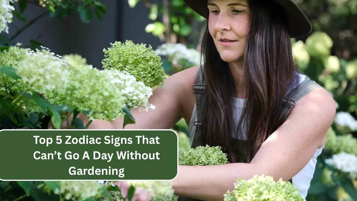 Top 5 Zodiac Signs That Can’t Go A Day Without Gardening