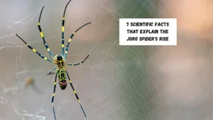 7 Scientific Facts That Explain the Joro Spider's Rise